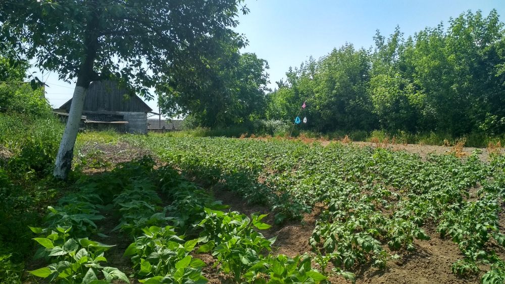 Продам ділянку з будинком