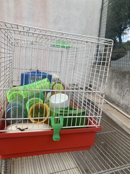 Gaiola para amster como nova