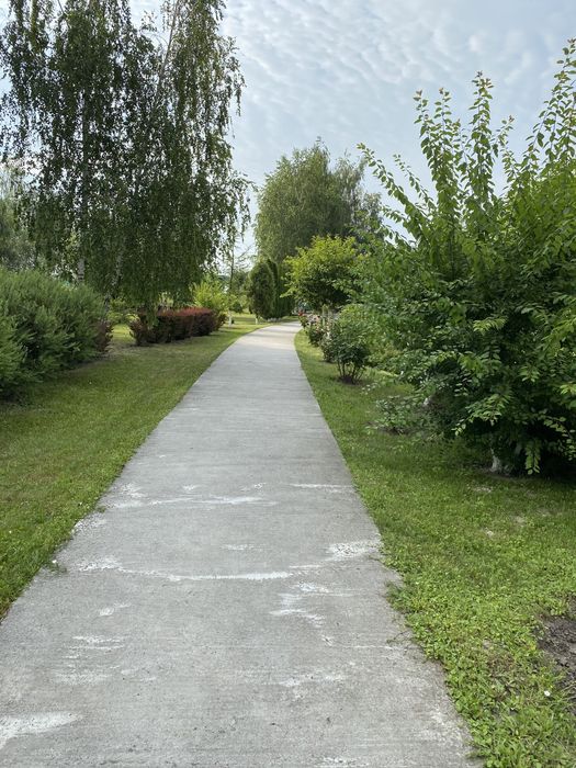 Приватне господарство  3 га