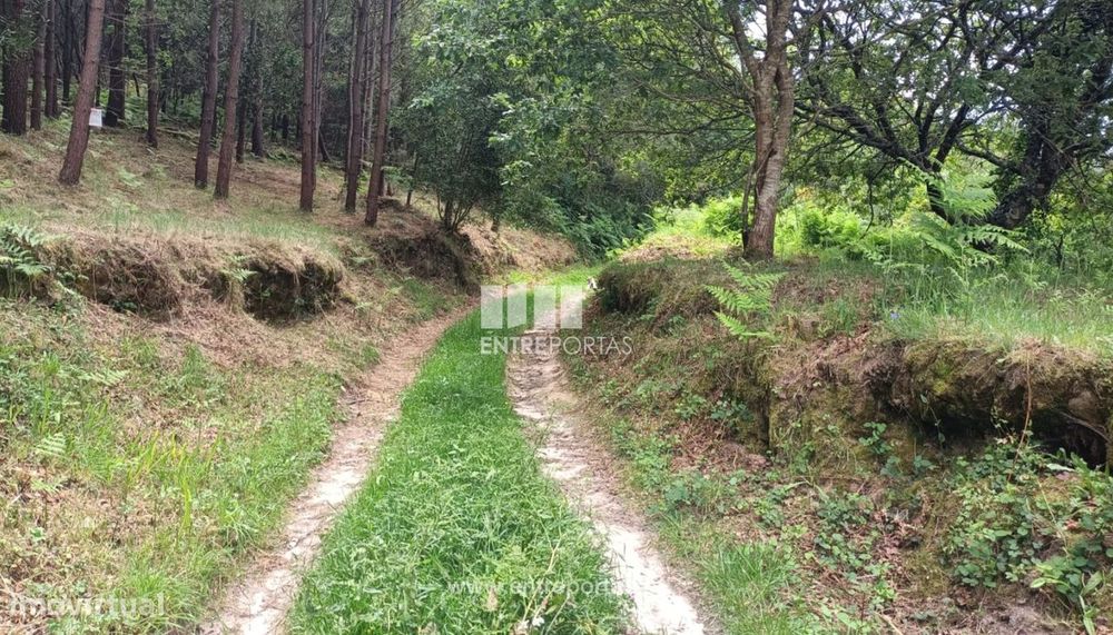 Venda de excelente terreno para construção, Areosa, Viana do Castelo