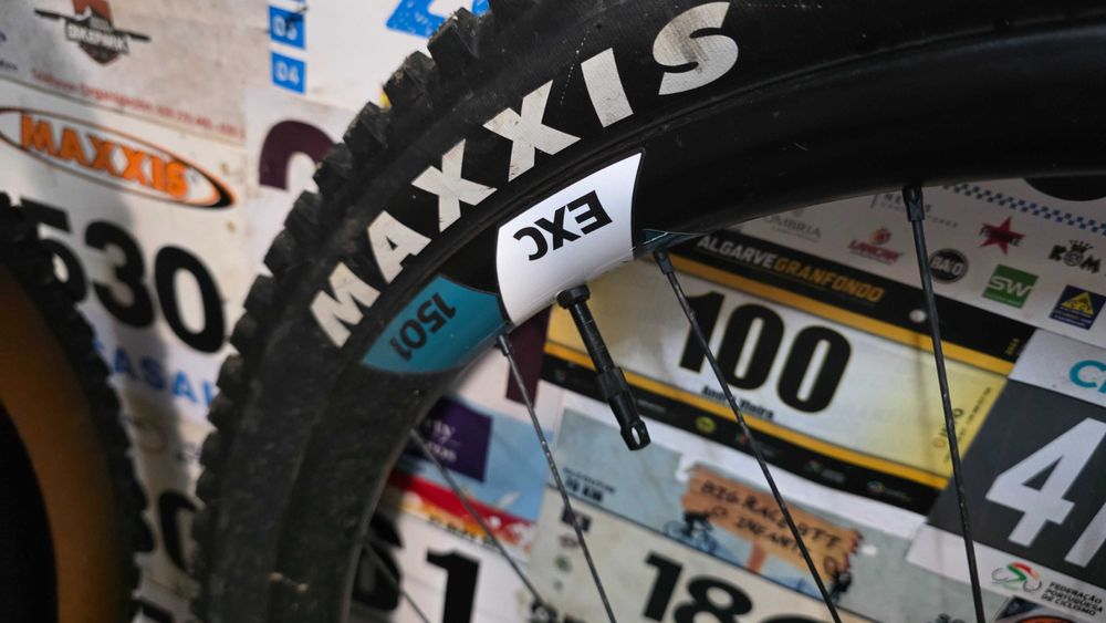 Cannondale jekyll 2025