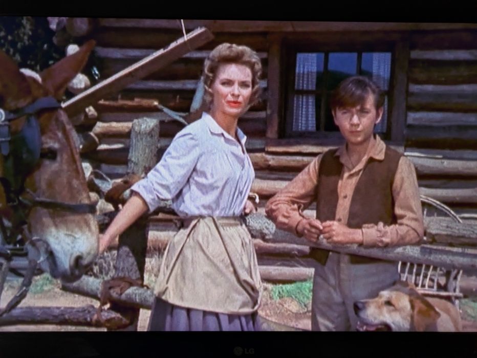 DVD " O Rapaz e o Cão | O Fiel Amigo " (Opt. Estado) 1957