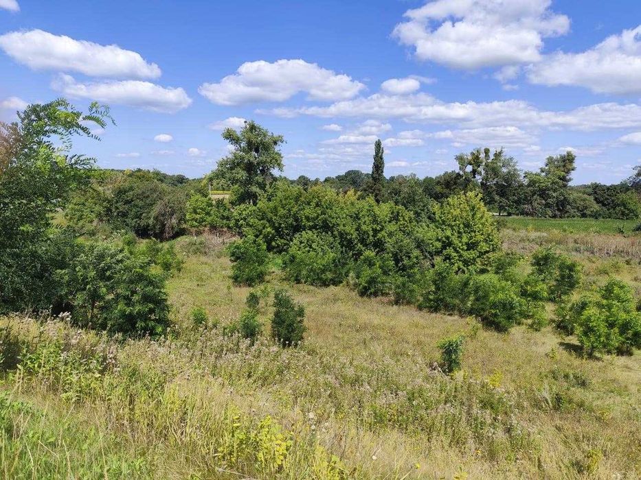 Продаж ділянки під АЗС в Уманському районі, с.Сичівка