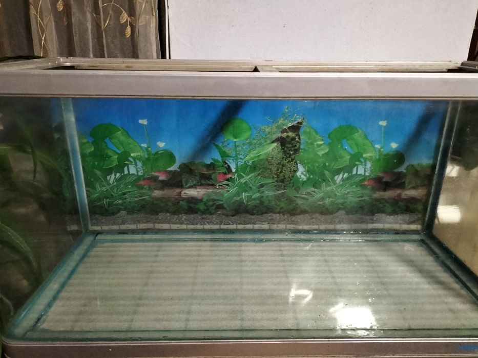 Продам аквариум фирмы JEBO