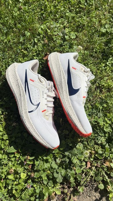 кросівки Nike Air Zoom Pegasus 40