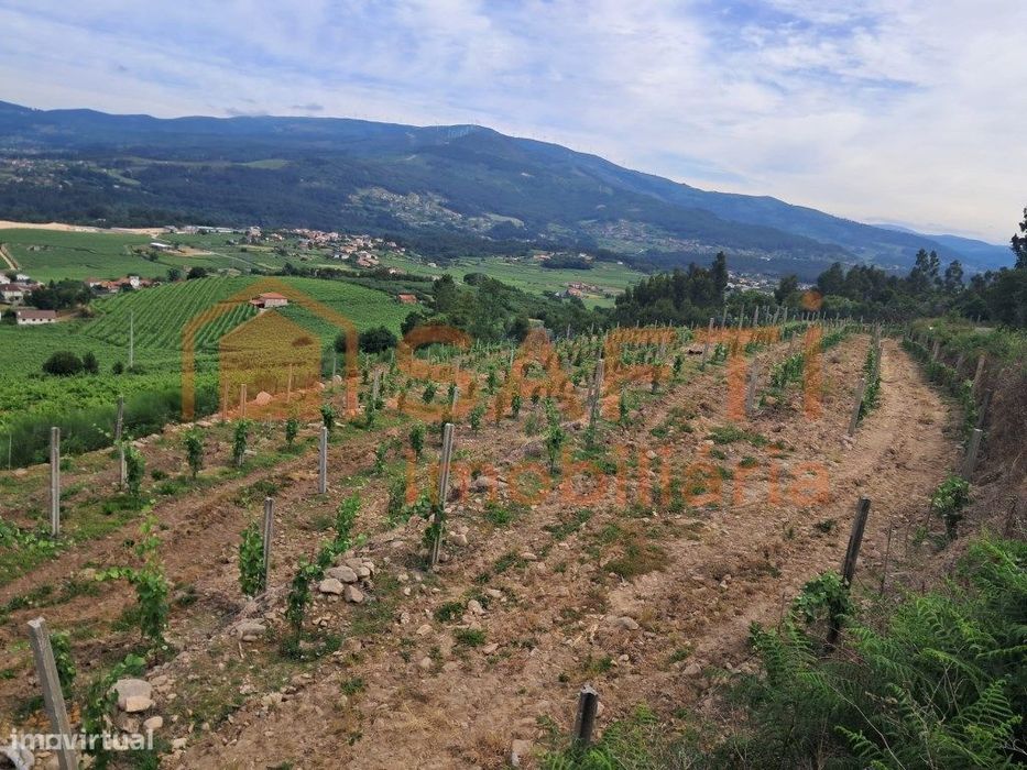 Terreno Rustico