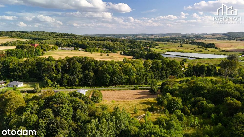 Piękna działka z widokiem | 7229 m² - Widok 4
