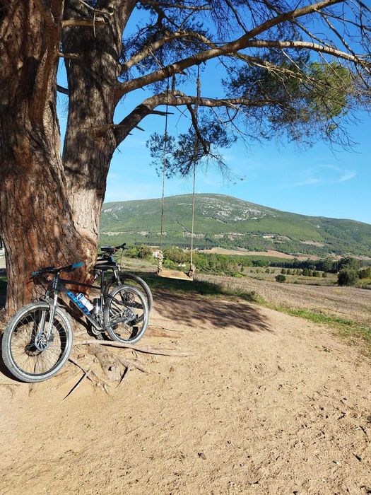 Bicicleta Giant Talon tamanho L