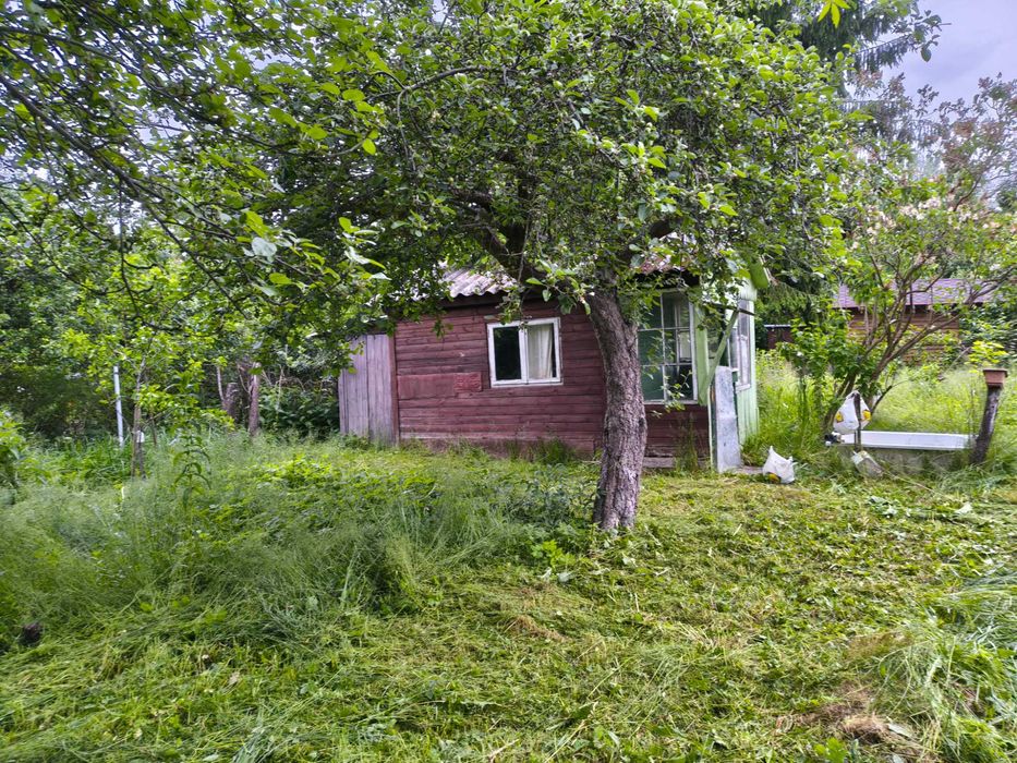 Sprzedam Działka ROD 358 M2 os.Grunwaldzkie Olsztyn - Widok 3