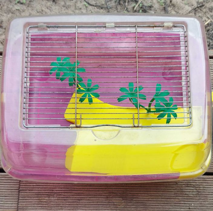 Terrario para tartarugas