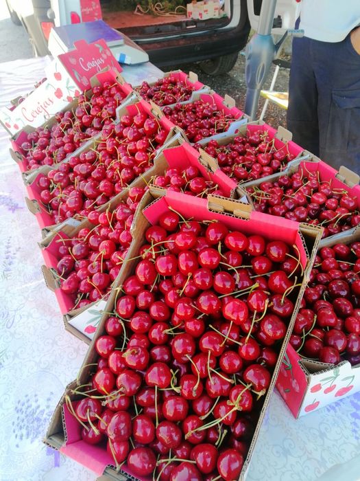 Cerejas Qualidade Lamego