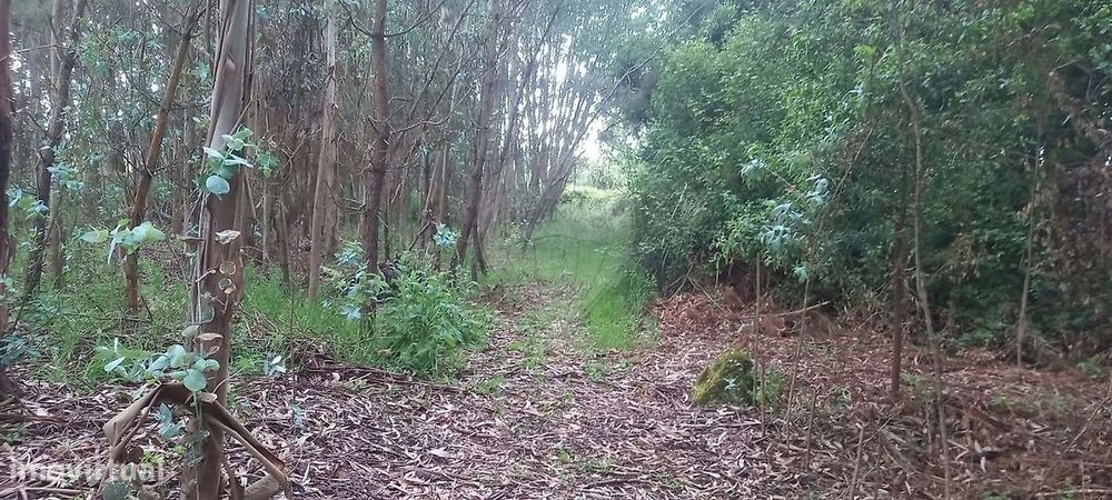 Terreno  para venda