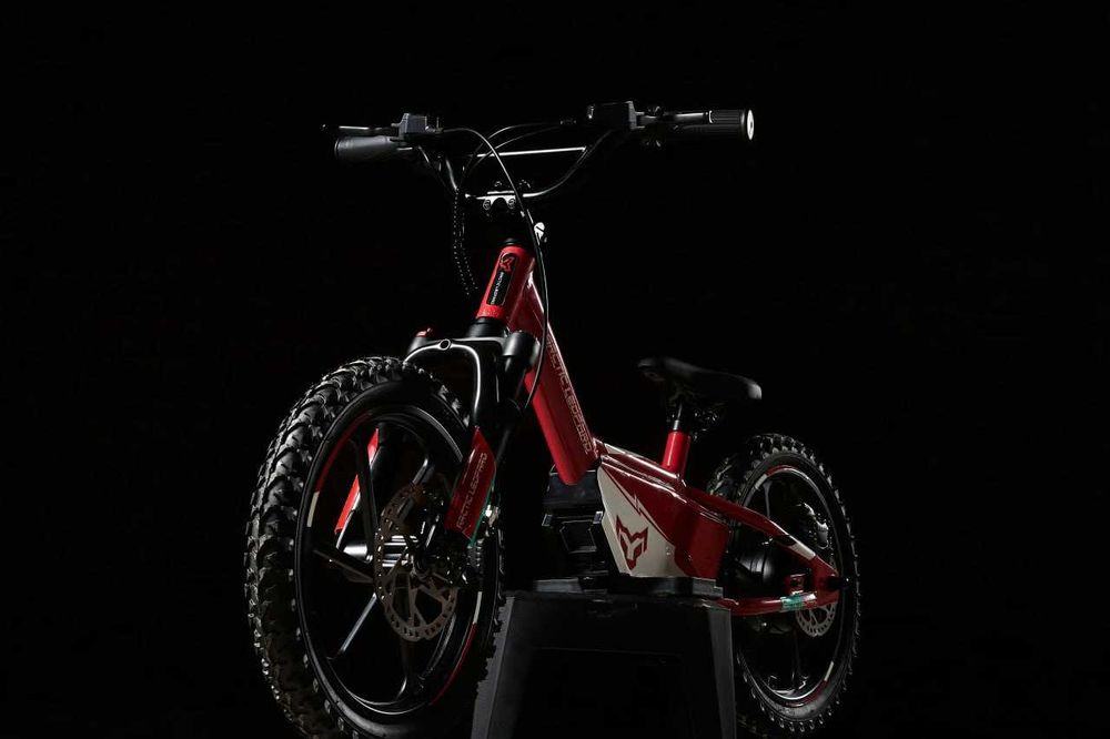 Електричний велобіг (велобег) для дитини • Leopard Cubs E16Y