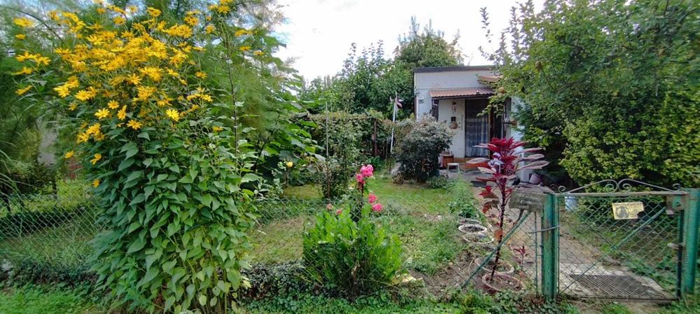 Ogródek działkowy, działka.