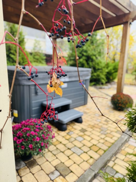 Подобово будинок. СПА-ЧАН. м.Буча