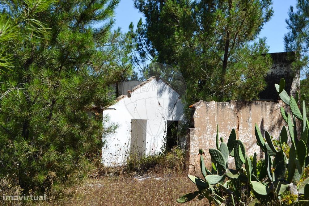 Quinta  para venda