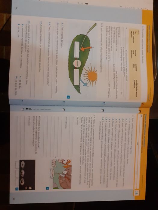 Caderno Atividades e manual VIVA A TERRA Ciências 5º