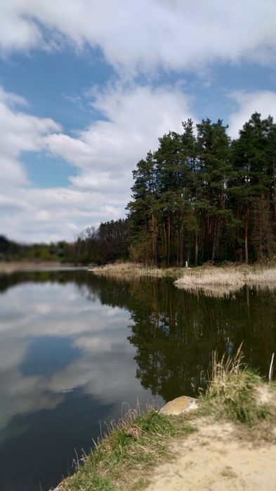 Ділянка з видом на ліс та водойму