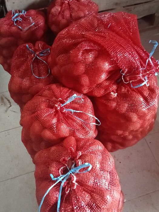 Batata Laura de excelente qualidade, baixa de preço.. Luiz 918399989