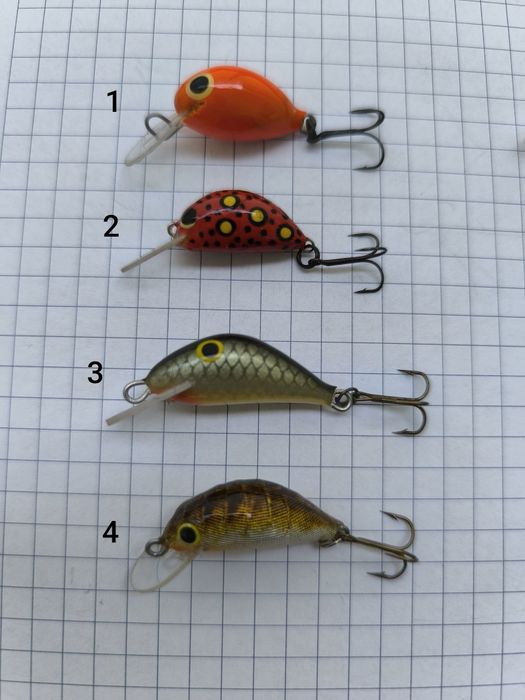 Woblery kleniowo-jaziowe 12 sztuk + pudełko