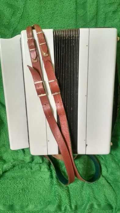 БАЯН - Супер стан!!!