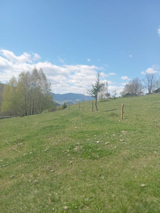 Продається земельна ділянка 94 сотики в Верховині присілок Пушкарі.