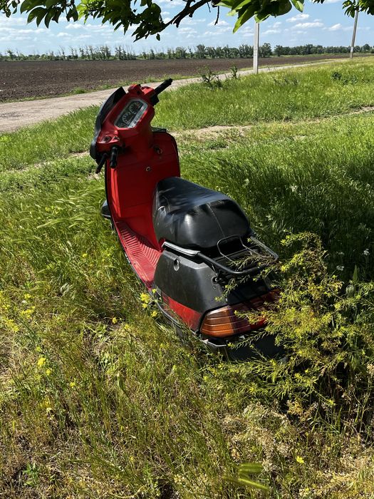 Honda lead af 10