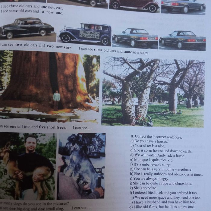 angielski ENGLISH THE WAY IT IS ELEMENTARY Książka do nauki języka