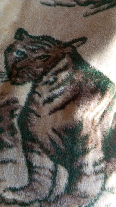 Cobertor novo.guardado