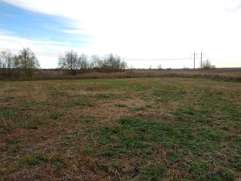 Продам земельну ділянку у с. Підлужжя _RR