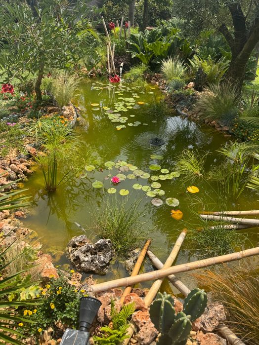 Paisagismo/Jardinagem