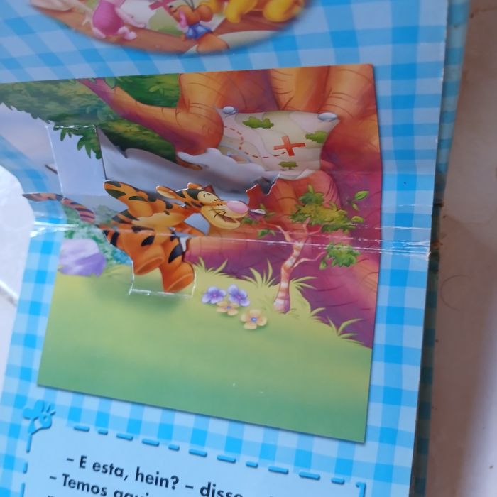 Livro " Caça ao Tesouro "