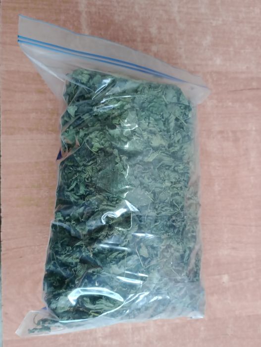 Pokrzywa liść suszony