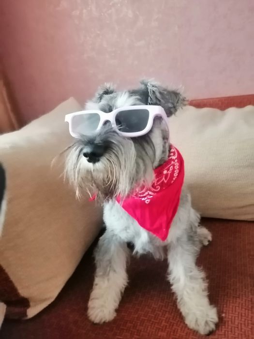 Парень ищет невесту