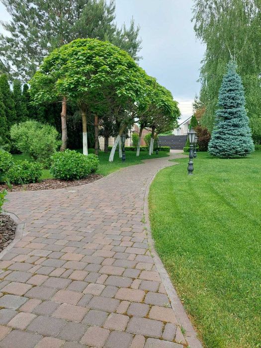 Догляд за садом. Покос газона. Підживлення/обробка рослин та газону