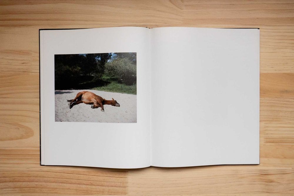 Fotolivro "Fluvial" de Tito Mouraz, Dewi Lewis, 2019