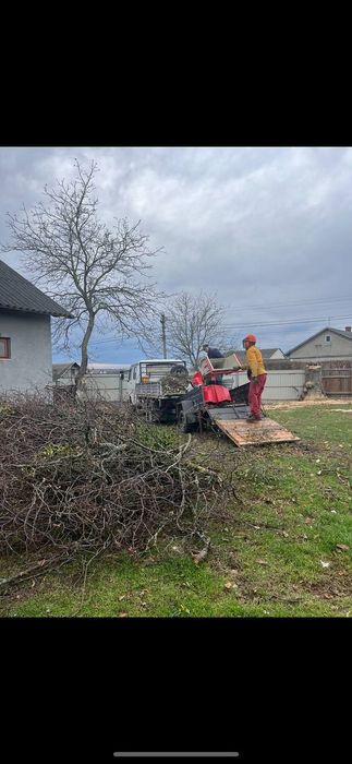 Зрізання дерев різної складності, послуги автовишки, арбориста
