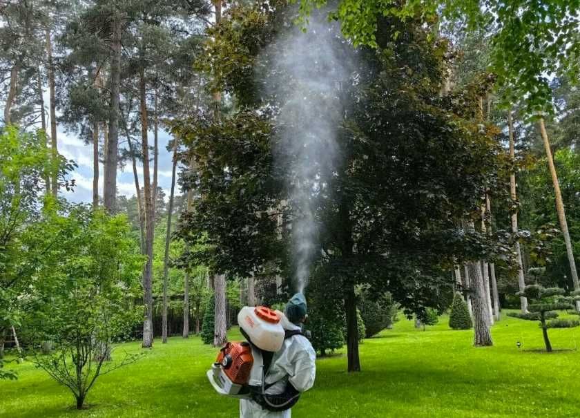 Знищення тарганів, дезінсекція дезінфекція з гарантією результата