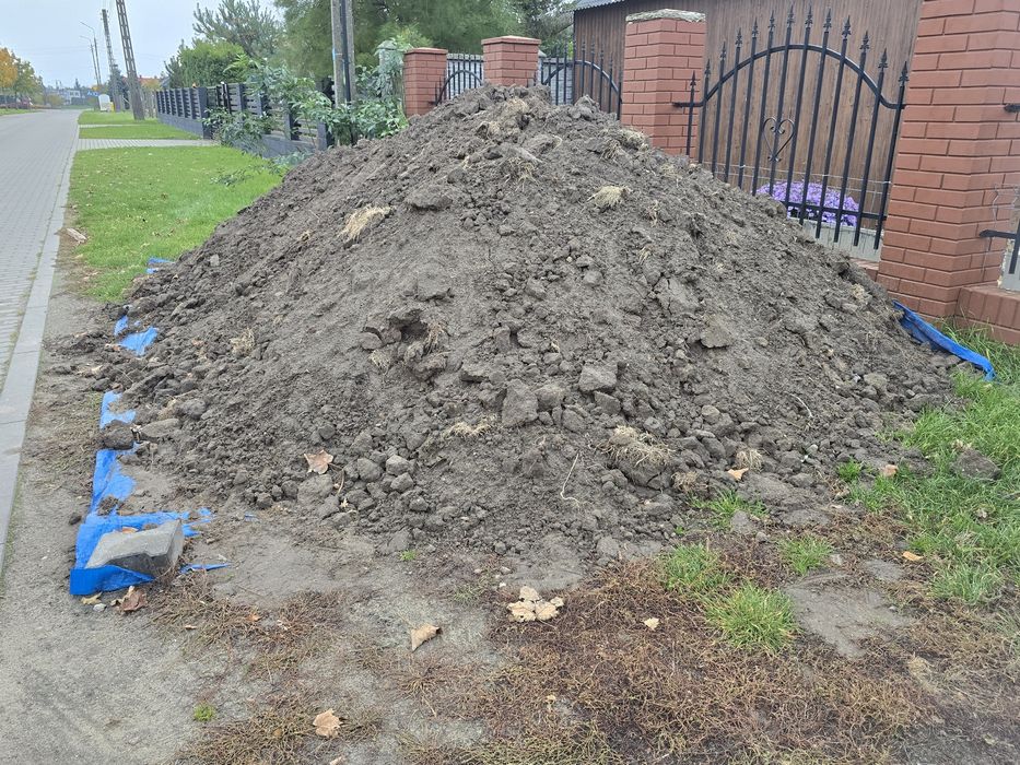 Oddam ziemię ZA DARMO