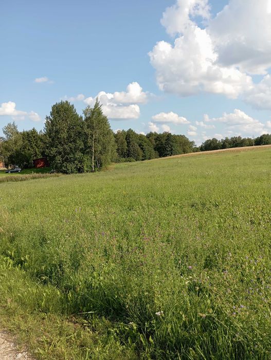 bezpośrednio  działka rolno-budowlana Krasnogruda, Suwalszczyzna