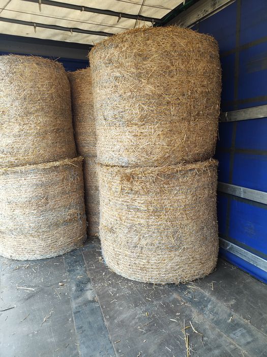 Słoma w belach 130x120 sucha, z transportem