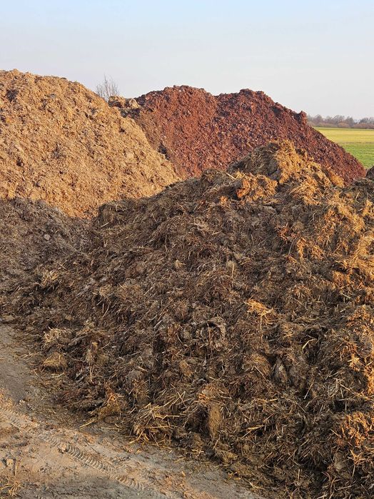 Obornik indyczy pomiot