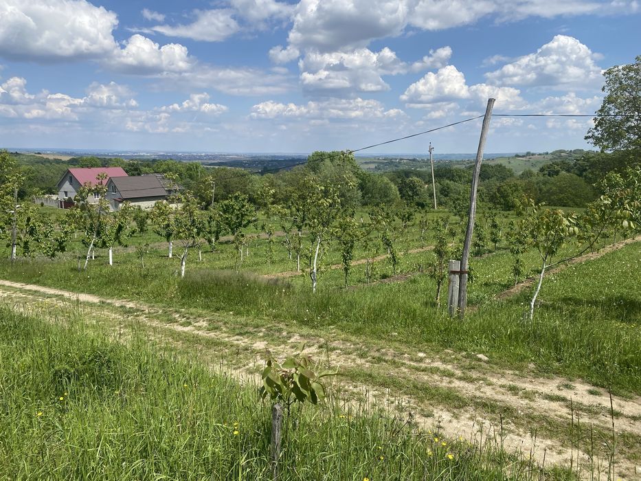 Продаж земельної ділянки с. Снячів