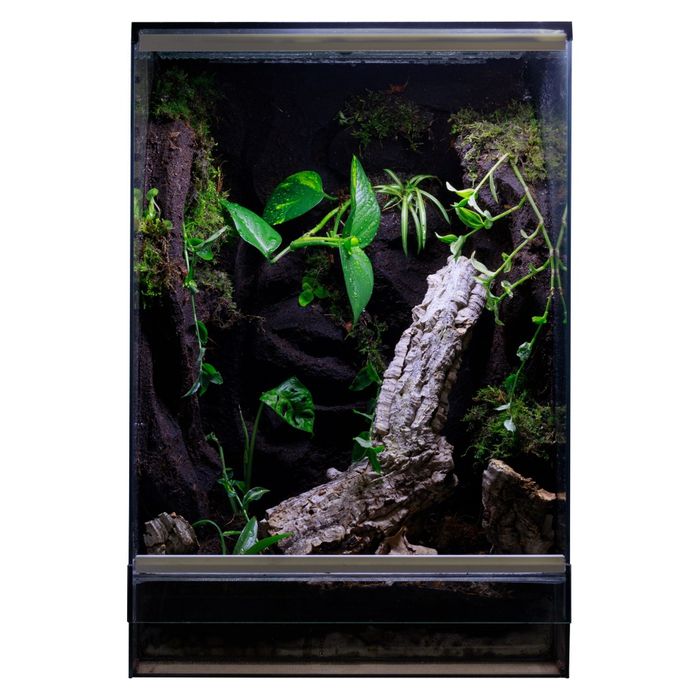 Terrarium tropikalne 40x40x60