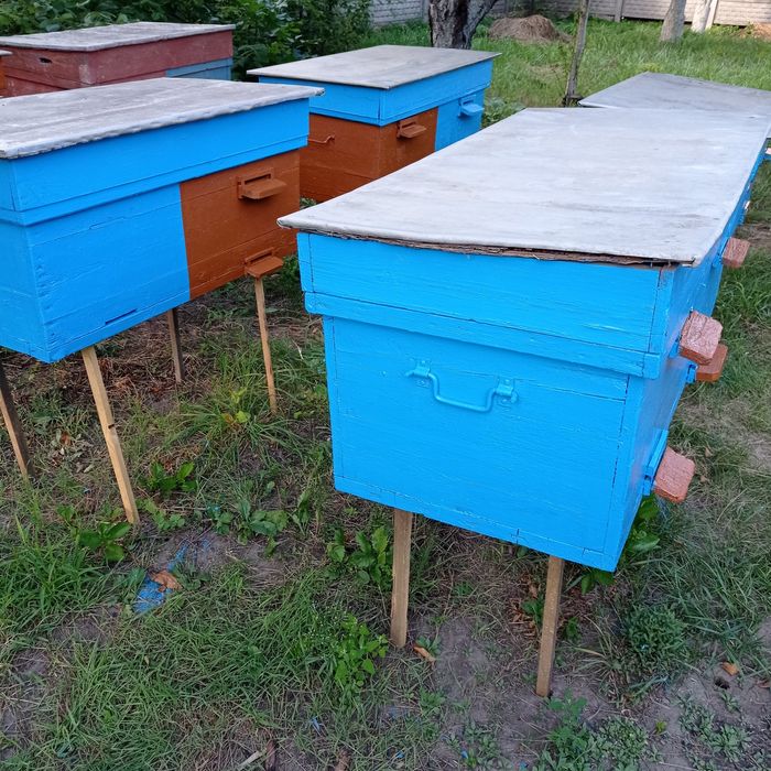 Вулики для бджіл б/ в нормальному стані