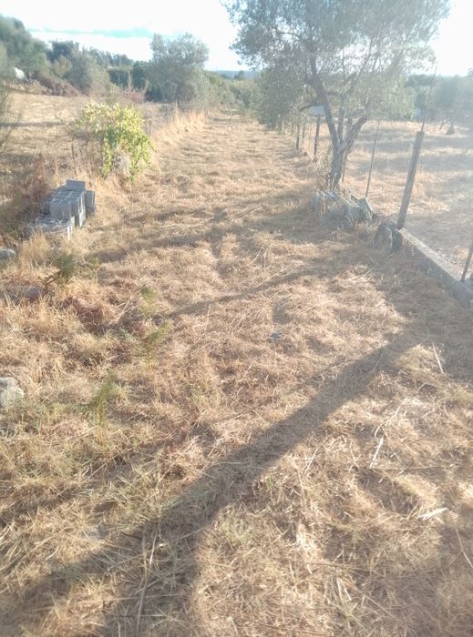 Terreno em Alcains venda urgente