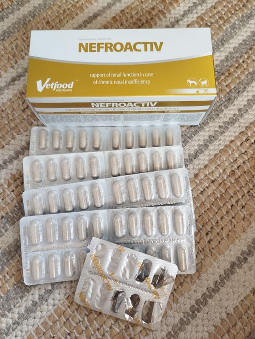 Nefroactiv Vetfood dla psa i kota, wsparcie funkcji nerek