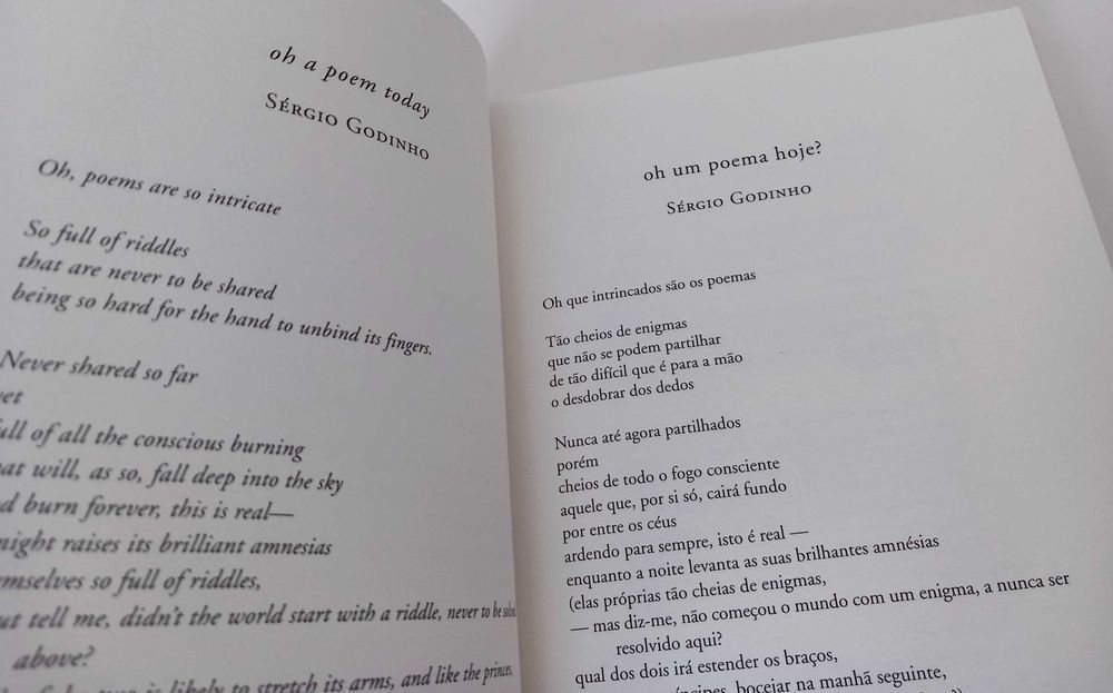 Livro A Tempo Inteiro de Tamayo Marín ed. Assírio & Alvim [Portes Inc]