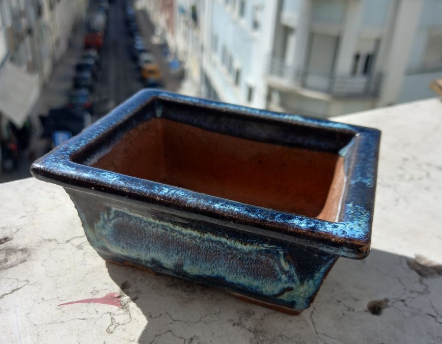 Vaso Bonsai como novo