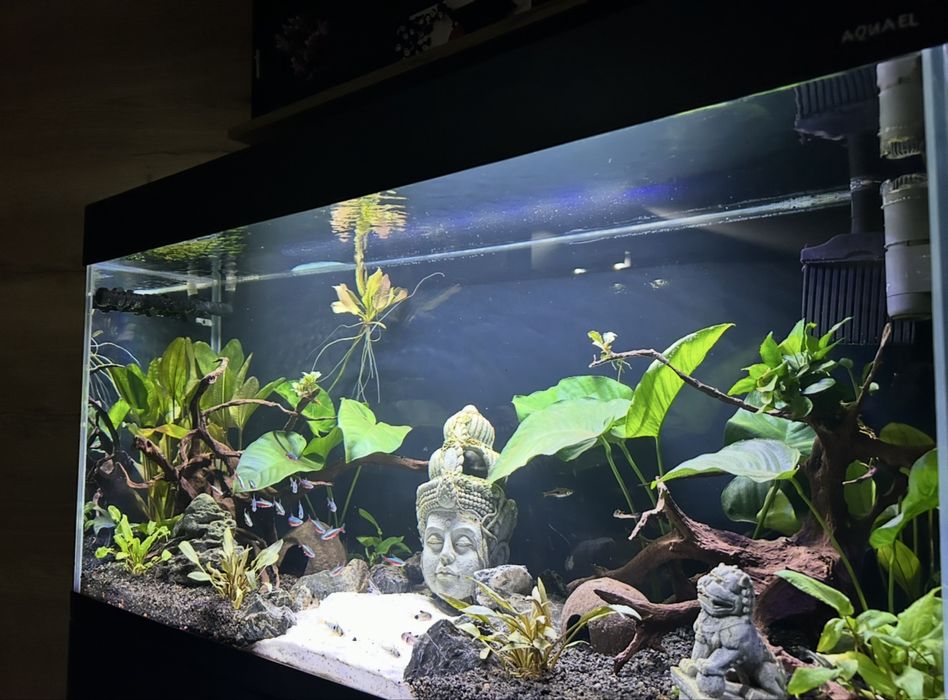 Akwarium Aquael Opti Set 200L - Gotowy zestaw / Ultramax